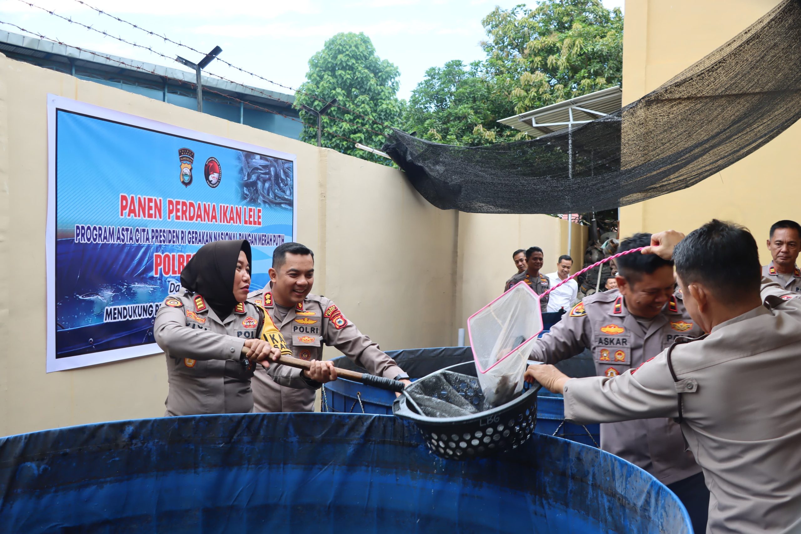 Dukung Ketahanan Pangan Nasional, Polres Maros Sukses Panen Perdana Ikan Lele