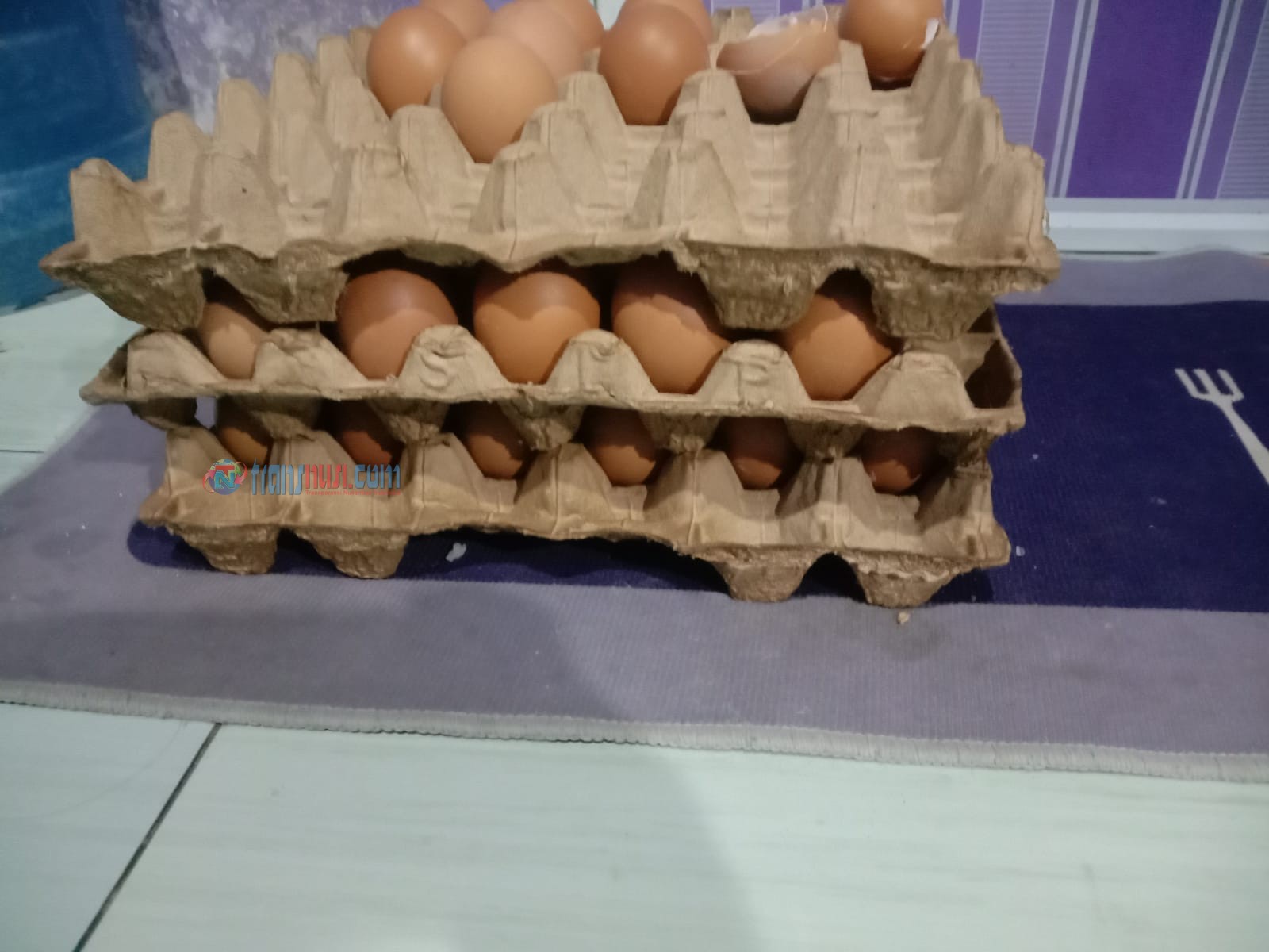 Bantuan BPNT Kabupaten Gowa Diduga Sarang Korupsi APH di Minta Periksa Kepala Dinas Dan Rekanan